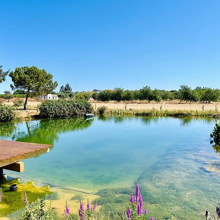 Glamping On Organic Yoga Farm With Natural Swimming Pool Near Beach Moncarapacho Luaran gambar