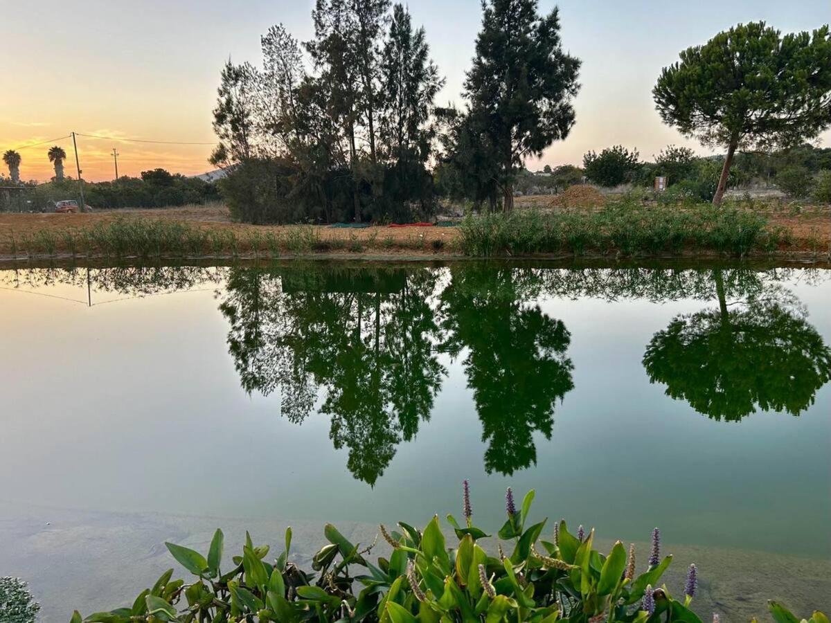 Glamping On Organic Yoga Farm With Natural Swimming Pool Near Beach Moncarapacho Luaran gambar