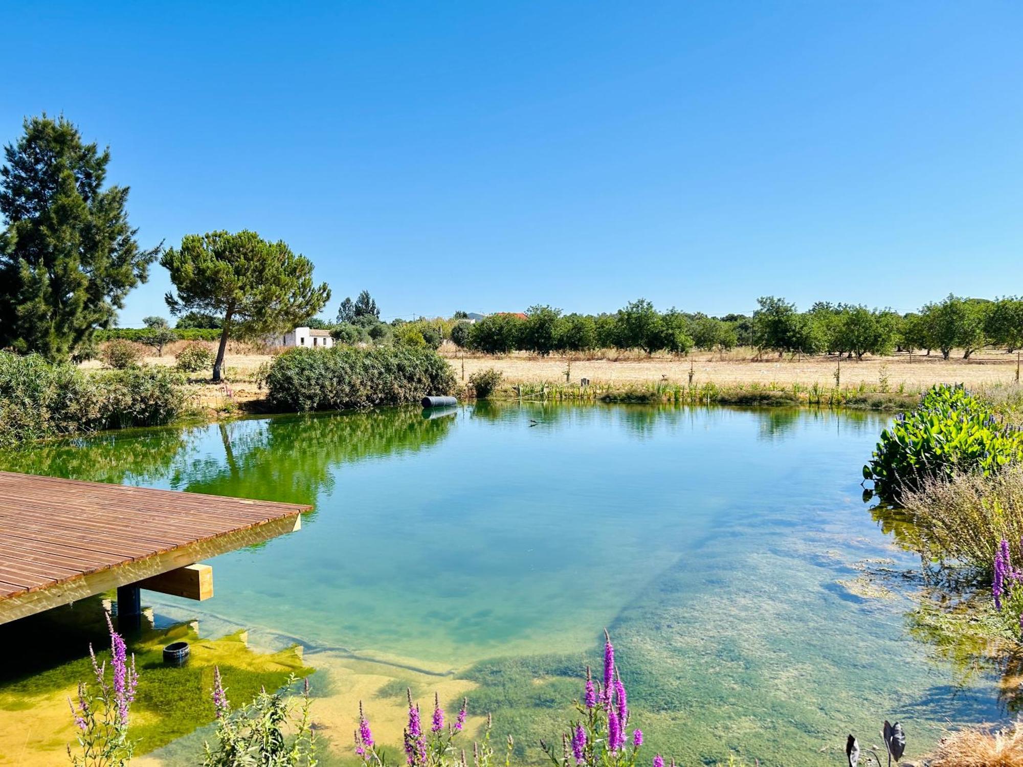 Glamping On Organic Yoga Farm With Natural Swimming Pool Near Beach Moncarapacho Luaran gambar